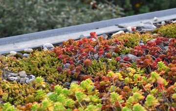the cost of Thick Hollins green roof installation
