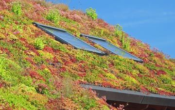 Thick Hollins living roof systems