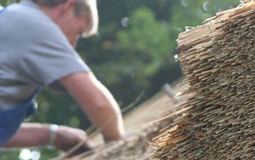 professional Thick Hollins thatchers