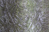 Thick Hollins fibreglass roof work